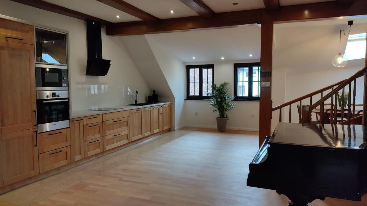 Apartamenty Ceglane Stary Toruń Dış mekan fotoğraf